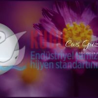Suvadde