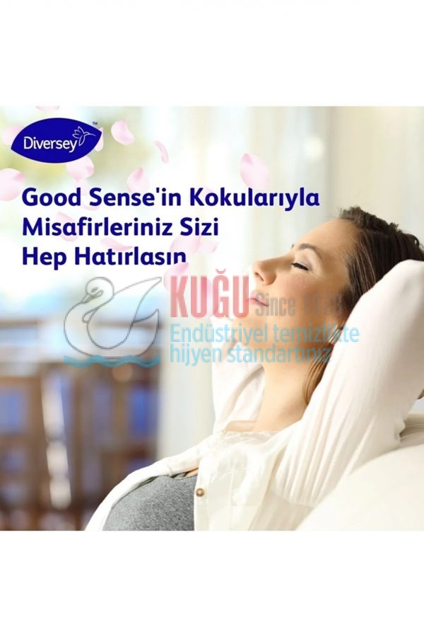 7508399 Diversey Good Sense Spring 7RL1 Oda ve Çamaşır Parfümü 5 litre - Görsel 2