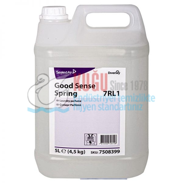 7508399 Diversey Good Sense Spring 7RL1 Oda ve Çamaşır Parfümü 5 litre - Görsel 4