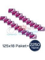 50002586 Papia Platinum 4 Katlı Pratik Mendil 125'li (1 Koli 18 Paket - 1 Paket 125 Yaprak) - Görsel 2