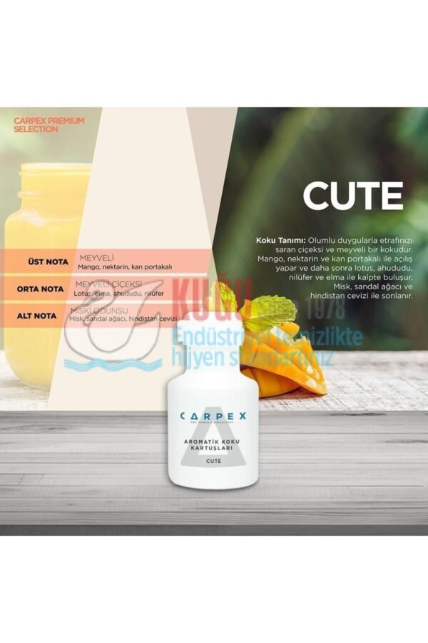 KGC-529601010001 Carpex 220 ML Cute A1 Eco ve Plus Yedek Koku Kartuşu - Görsel 3