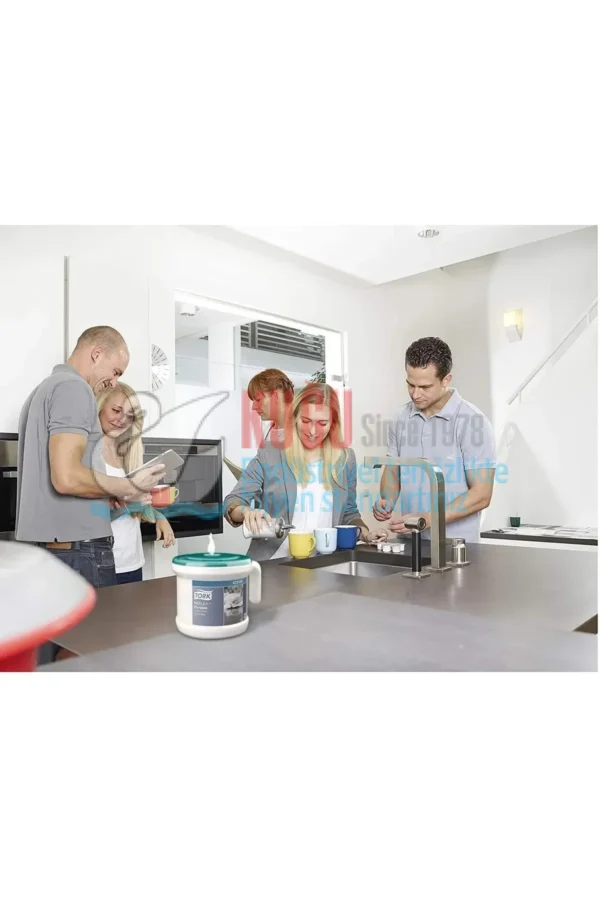 KT-473186 Tork Reflex™ Portable İçten Çekmeli Çekmeli Havlu Başlangıç Paketi (Dispenser Sistemi + 1 Adet Içten Çekmeli Rulo Havlu) - Görsel 9