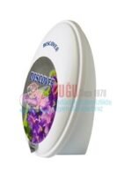 Discover Deco Gel