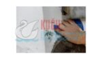 7100032938 Scotch-Brite™ Kolay Silme Pedi 4004 - Görsel 8