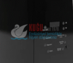 KGC-921130-B Carpex Siyah Auramax Pro-S 1200 m3 Alan Etkili Merkezi Sistem Koku Makinesi - Görsel 4