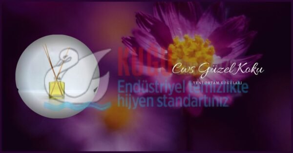 Cws Özel Seri Bambu Kokuları - Görsel 2
