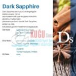 KGC-529601030001 CARPEX AURAMAX PRO1200 GENİŞ ALAN KOKU MAKİNESİ KARTUŞU 500 ML KOKU KARTELASI - Görsel 7