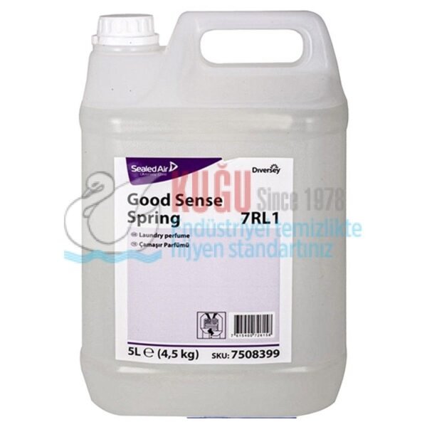 7508399 Diversey Good Sense Spring 7RL1 Oda ve Çamaşır Parfümü 5 litre - Görsel 4