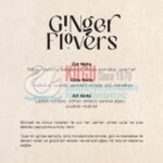 437040155 Carpex Ginger Flowers A1 Koku Kartuşu 200 ML - Görsel 3