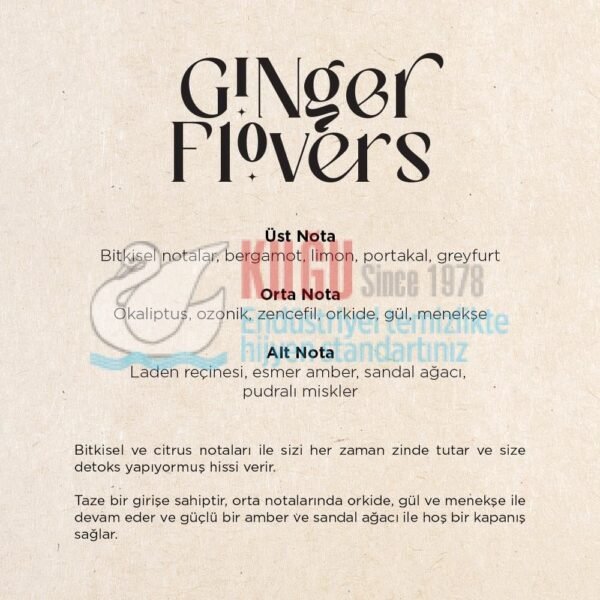 437040155 Carpex Ginger Flowers A1 Koku Kartuşu 200 ML - Görsel 3
