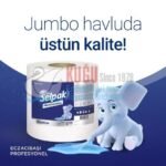 7905593 Selpak Professional Premium Jumbo  Havlu 510M - Görsel 3