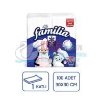 familia-garson-katlama-pecete-1-8-100lu-24-paket-focus-kagit-havlu-focus-30089-19-b.jpeg