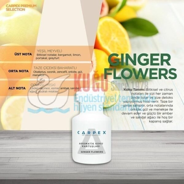 Second image of KGC-529601010001 CARPEX A1 GENİŞ ALAN KOKU MAKİNESİ  KOKU KARTUŞU KARTELASI 220ML